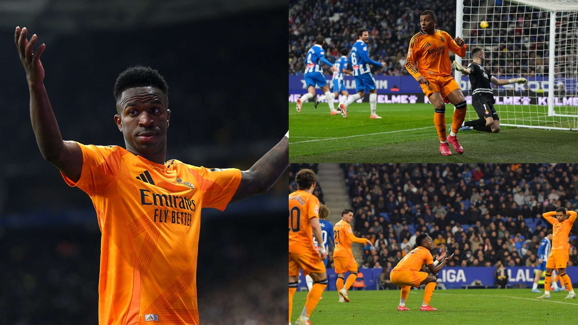 他对海伦芬 他对海伦芬